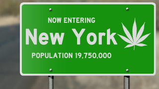 Locked Up and Locked Out: How to Ensure New York's Black Communities Get Their Share of the Marijuana ‘Green Rush’